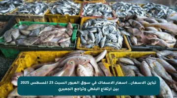 تباين الأسعار.. أسعار الأسماك في سوق العبور السبت 23 أغسطس 2025 بين ارتفاع البلطي وتراجع الجمبري